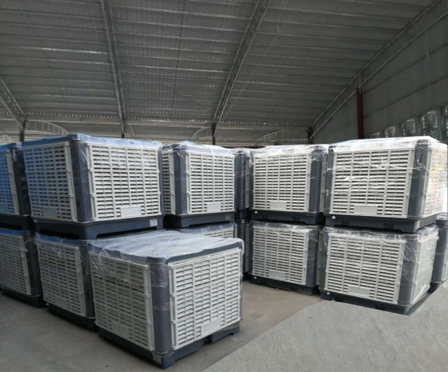 ���L�C���S��